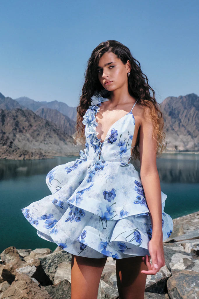 Aurora Floral Dream Dress